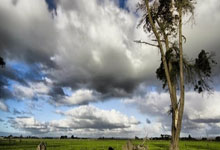 开云体育入口-比利时乒乓球队碾压英国强敌，奥恰洛夫领衔全场狂飙