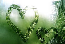 开云体育平台APP-WBG逆转HLE，Upset高光表现震撼全场