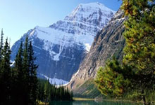 开云下载-德国网球队血洗澳大利亚，兹维列夫上演惊天逆转的背后秘密