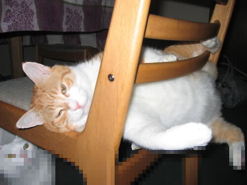 从欧冠半决赛的窒息攻防,看达米安·利拉德如何定义篮球场的攻防转换核心